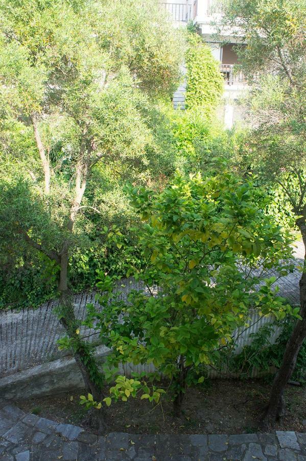 Possidi Aigaiopelagitika 2-Floor Beach House Kalandra Zewnętrze zdjęcie